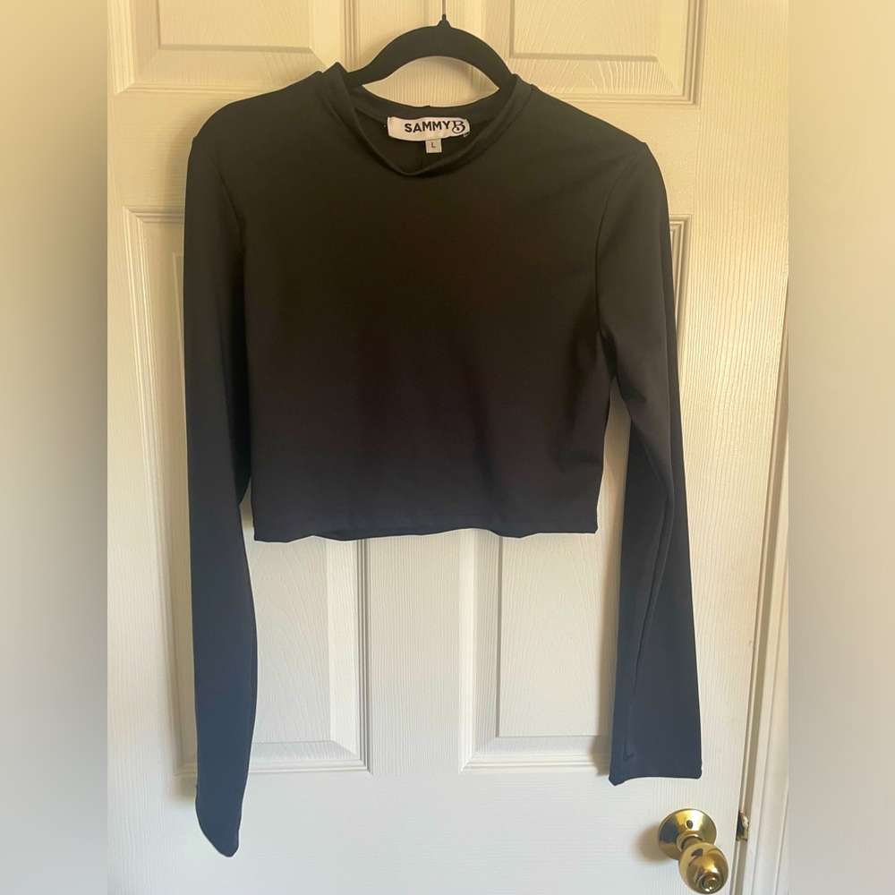 Sammy B black long sleeve crop top